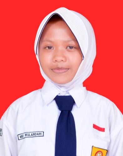 MEI WULANDARI