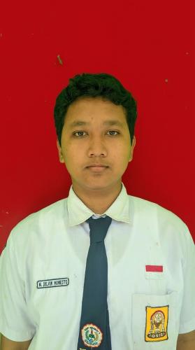 MOCHAMMAD DELVIN HONESTO