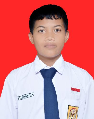 DAVIED PRIMASTYA BAGASKARA