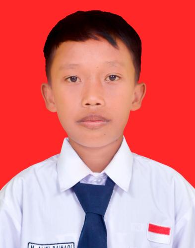 MUHAMMAD ALWI BAIHAQI