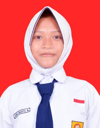 AINA WAHYU NAFIDA
